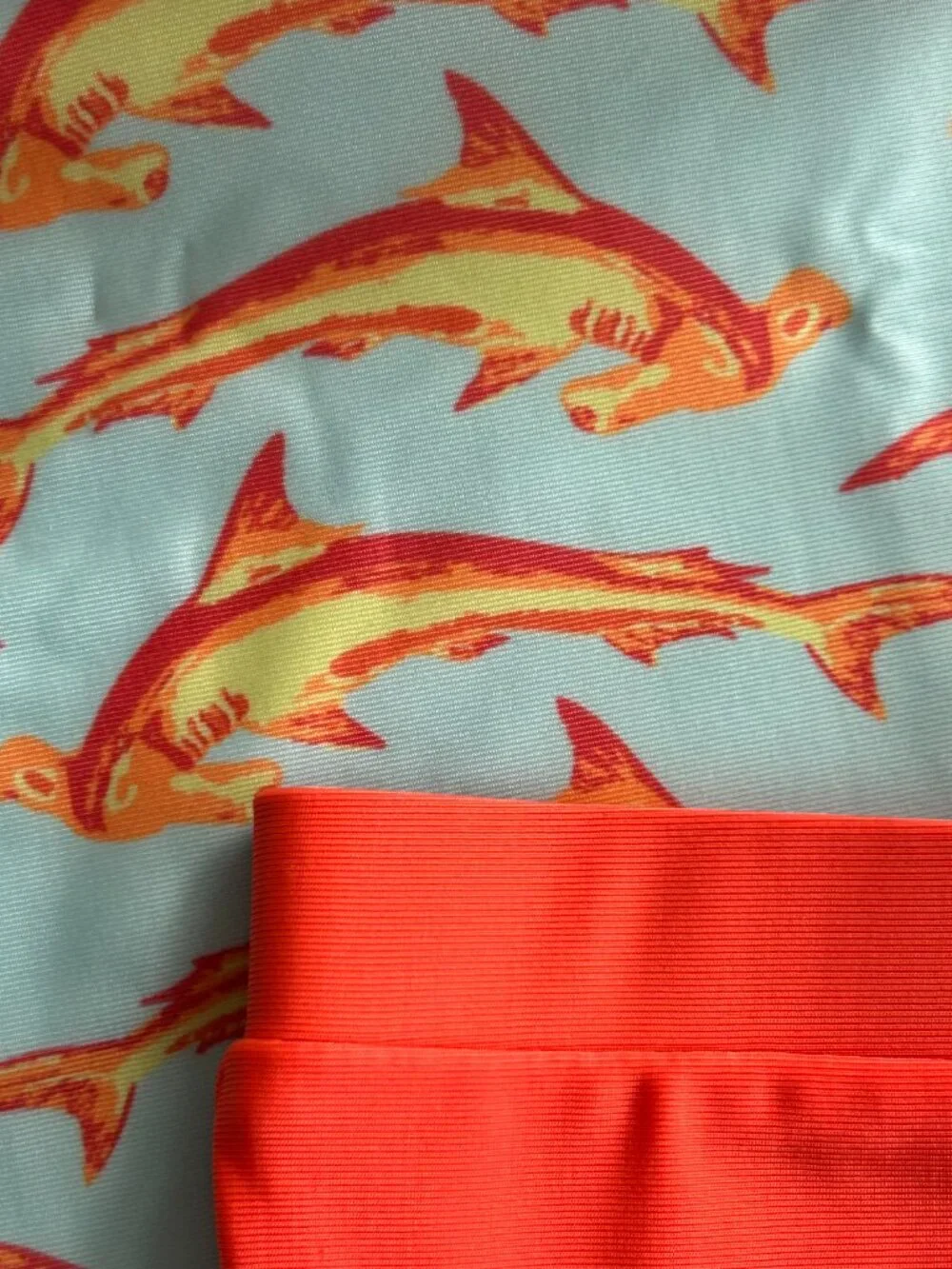 NWT Kate Quinn Shark Rash Guard & Ruffle Swim Suit Set 3-6M UPF 50+